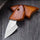 Wood Handle Pocket Knife