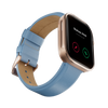 Visionary Smartwatch