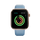 Visionary Smartwatch