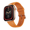Visionary Smartwatch